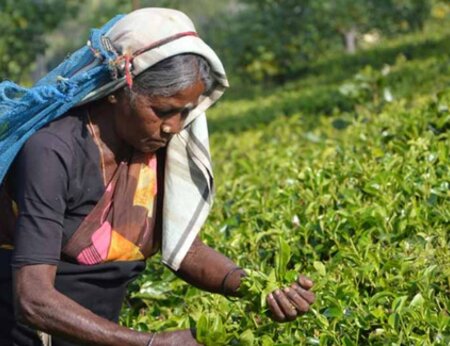 Learning From The Use Of The Washington Group Questions In Development And Humanitarian Programmes