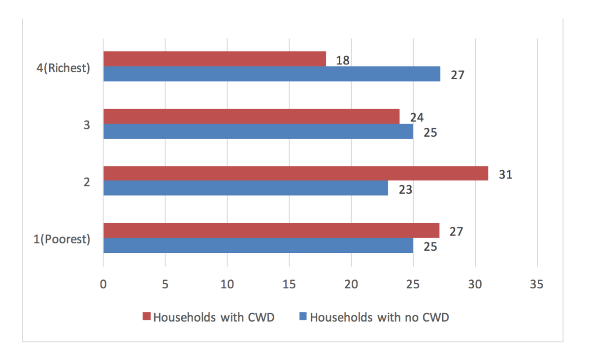 Disability and household wealth