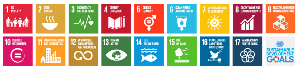 UN Sustainability Goals icons